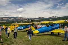 PS-Antique-Aircraft-2015-33