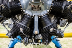 PS-Antique-Aircraft-2015-37