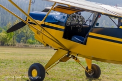 2014-CVAC-FlyIn-9