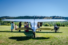 Respite-from-the-heat-under-the-wings