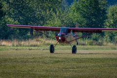 Fly-in-2024-21