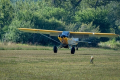 Fly-in-2024-24