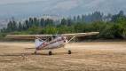 Fly In 2021-3504