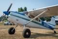 Fly In 2021-3516