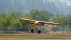 Fly In 2021-3466