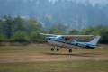 Fly In 2021-3561